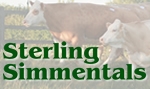 Sterling Simmentals
